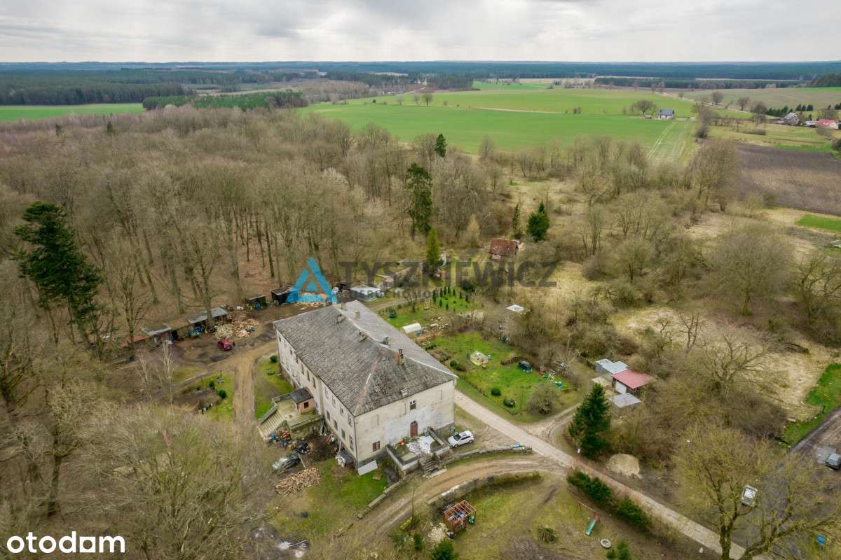 Mieszkanie W Pałacu W Jerzkowicach - Pełny obrazek: 4/20