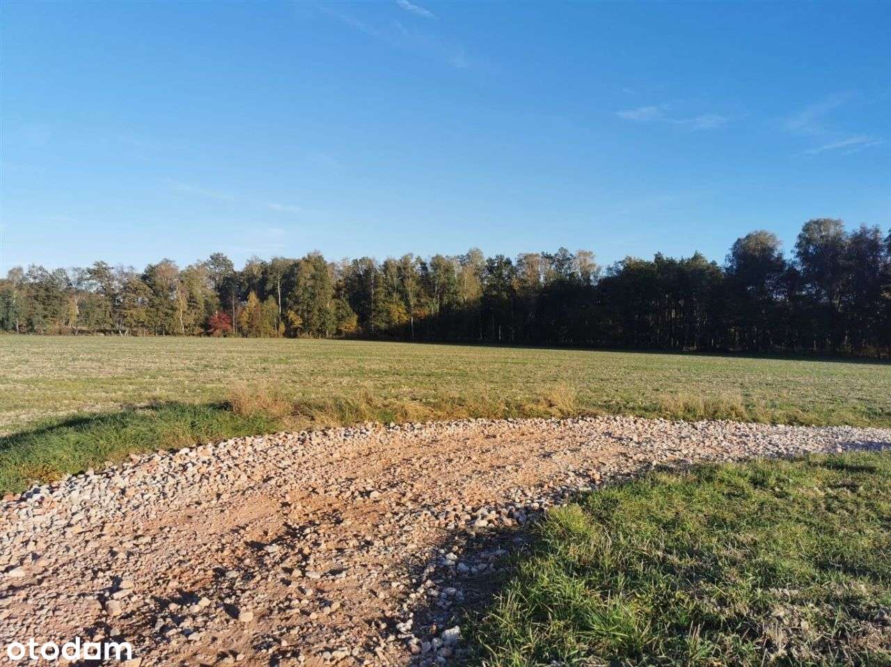 Wyjątkowa działka. - Pełny obrazek: 4/10