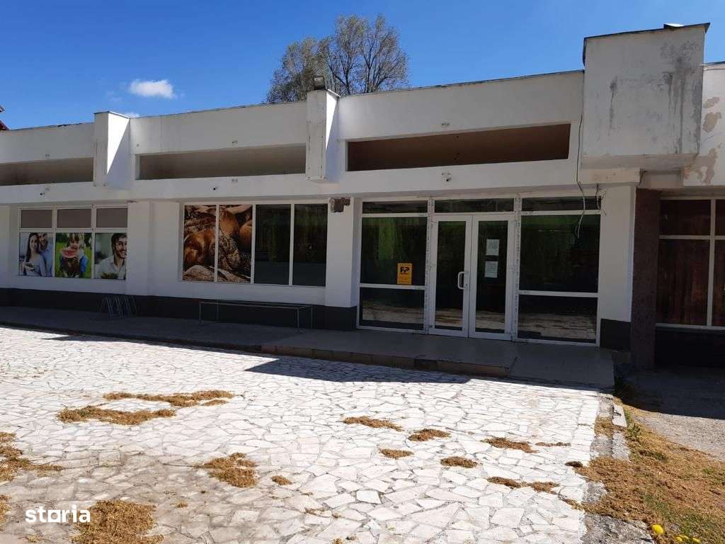 Spatiu comercial Moinesti Lucacesti - 511 mp-0