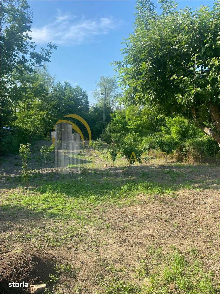 Oportunitate  unica de investitie- teren de vanzare- Prahova-1