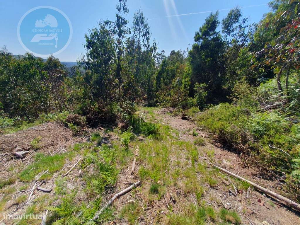 Terreno Construtivo em Vila Boa- Cabeceiras de Basto - Grande imagem: 3/10