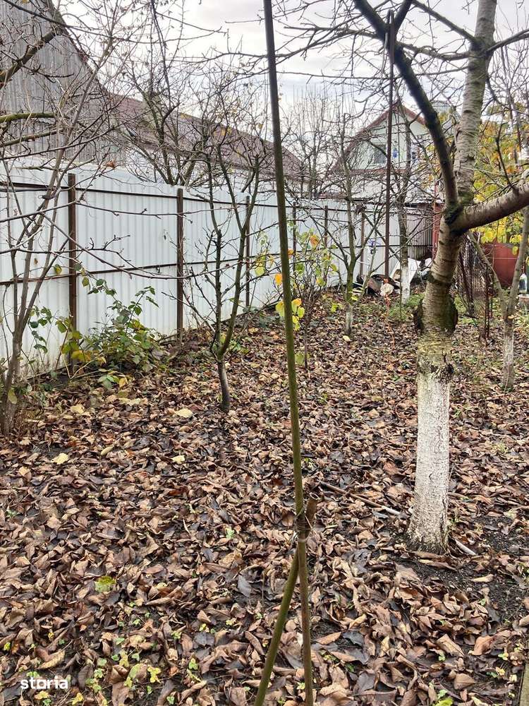 Vânzare Casă Hărman - Imagine principală: 5/12