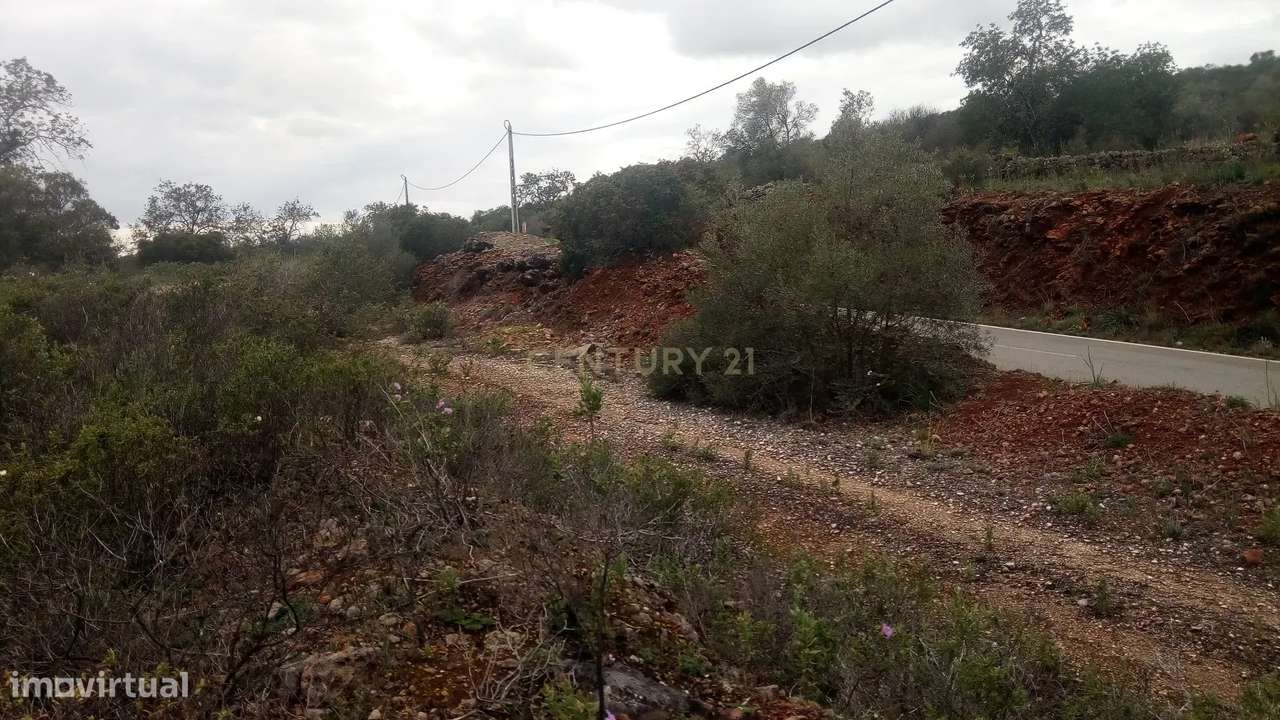 Moinho com terreno rústico - Grande imagem: 4/39