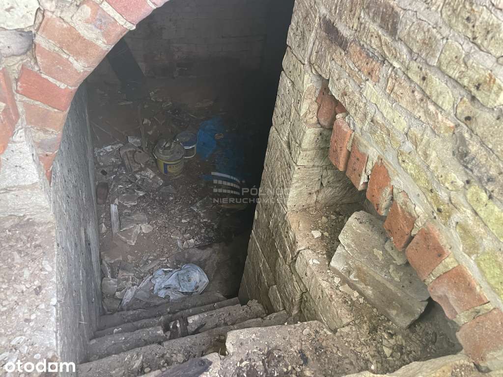 Piękna duża działka z potencjałem! - Pełny obrazek: 5/6