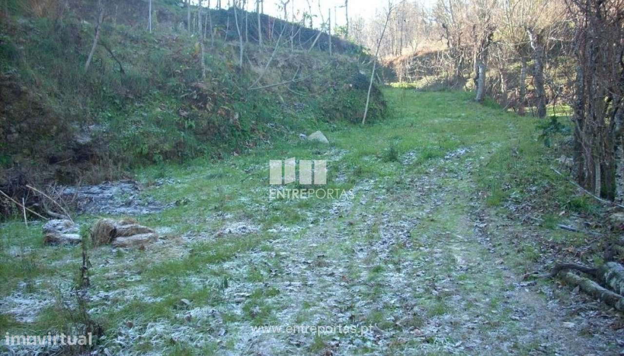 Venda Terreno, Soalhães, Marco de Canaveses - Grande imagem: 4/6