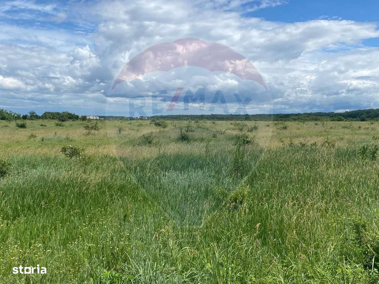 DE VANZARE Teren intravilan 600mp Drumul Piscul Mosului SISESTI-19