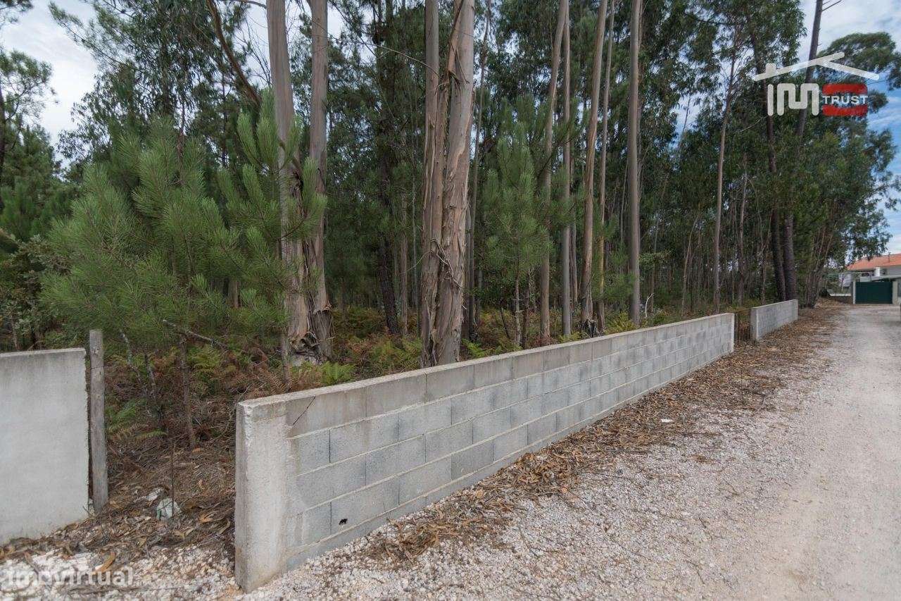 TERRENO RUSTICO COM AREA DE 2900 M2 BOA FRENTE DE ESTRADA EM MOITA ... - Grande imagem: 5/8
