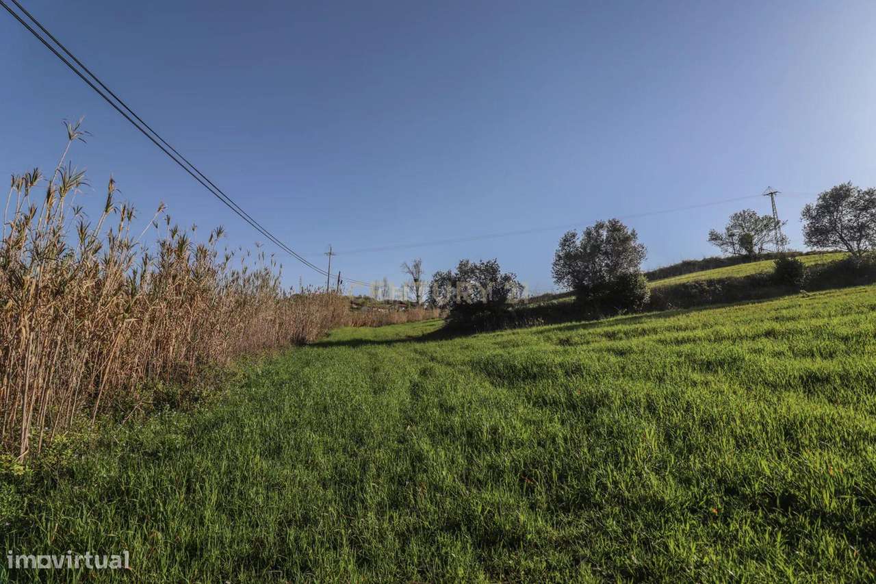 Terreno possibilidade Construção | 68.205m2 | Montemor-o-Velho - Grande imagem: 5/22