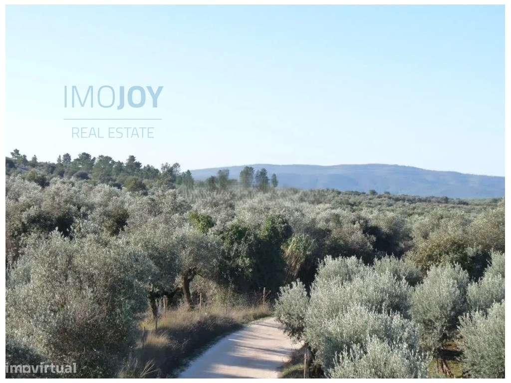 Terreno Rústico em Borba com Possibilidade de Construção - Grande imagem: 2/13