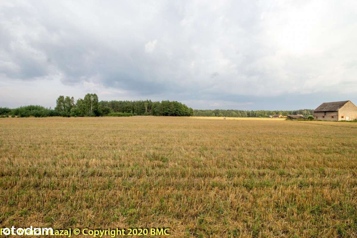 Działka Letniskowa Blisko lasu w Pawełkach-7