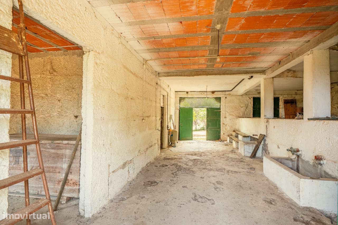 Quinta com 5,5 ha e Projecto Aprovado p/Hotel Rural 4 Estrelas - Viseu-17