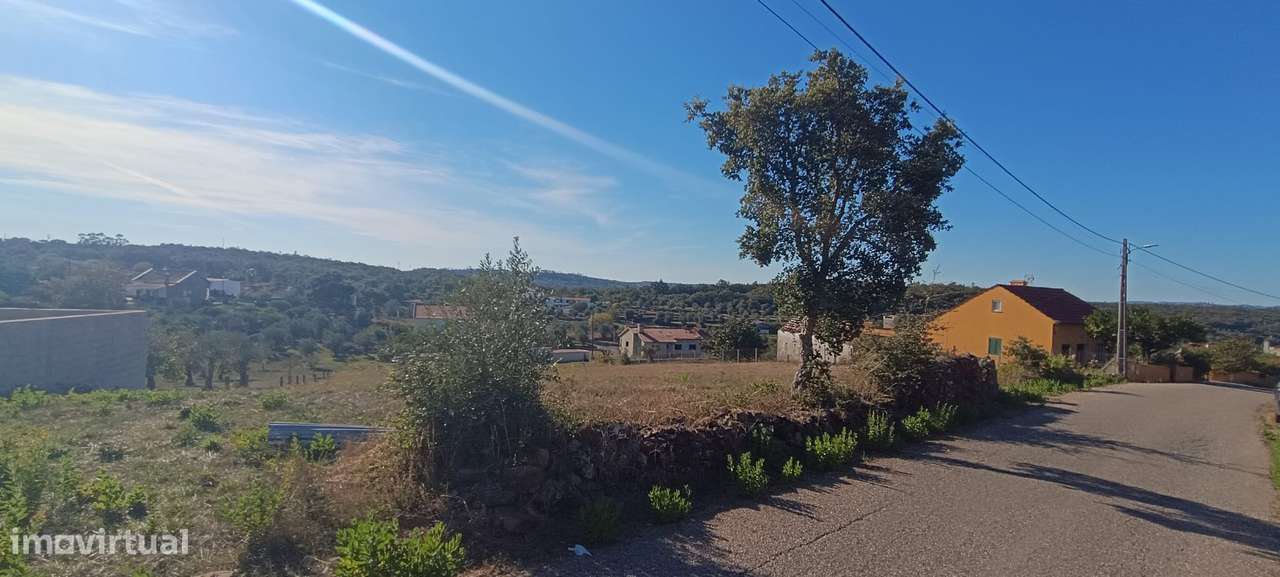 Terreno rústico com 3.700 m² – A 7 km de Tomar-7