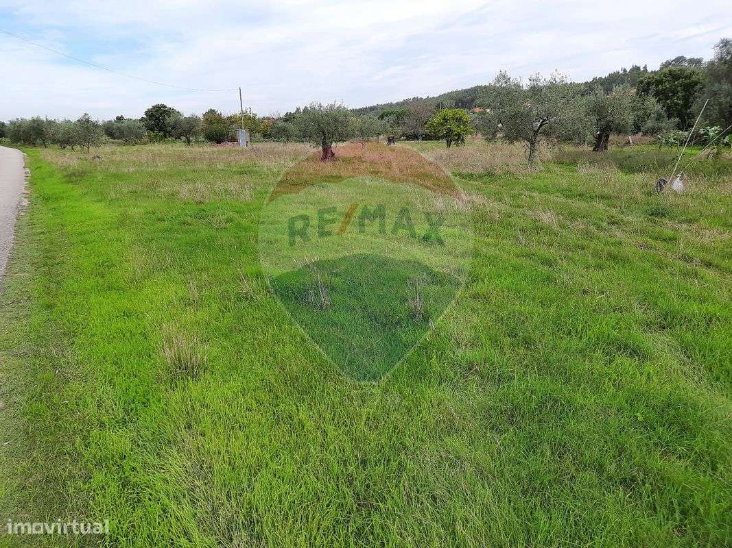 Terreno  para venda - Grande imagem: 4/10