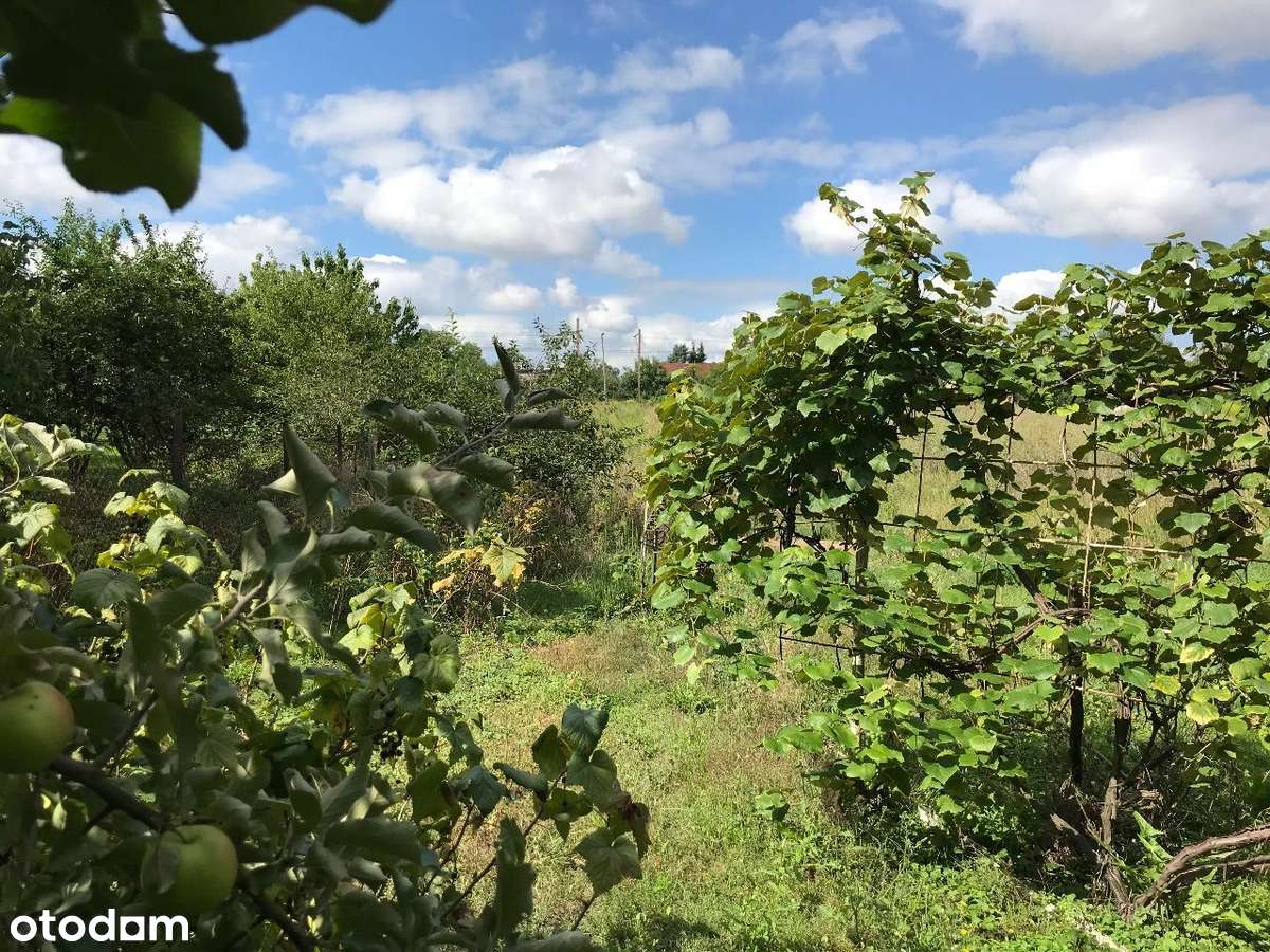 ROKIETNICA | k. Poznania | duża działka budowlana-1