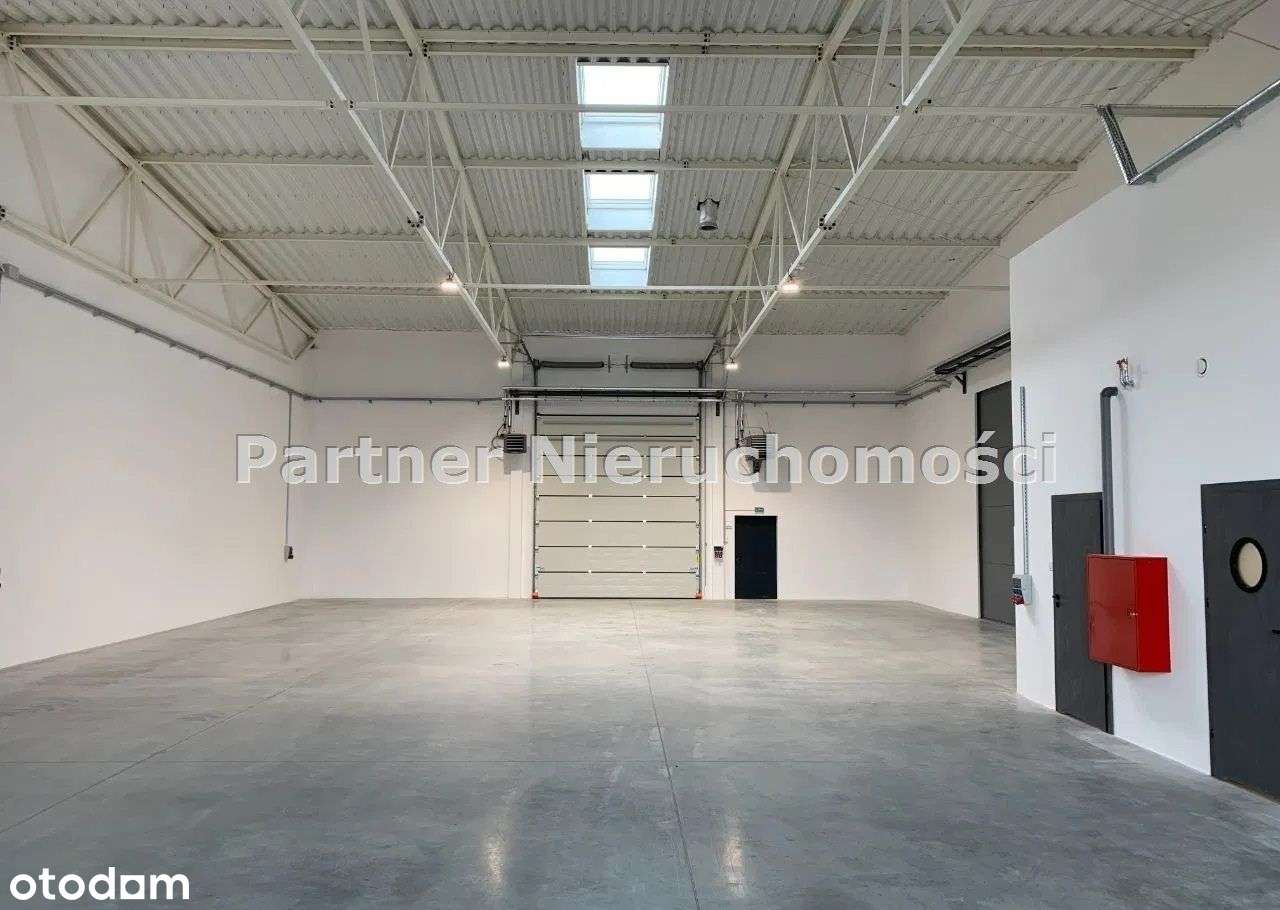 Hala 350M!!! Nowa !!!! - Pełny obrazek: 2/3
