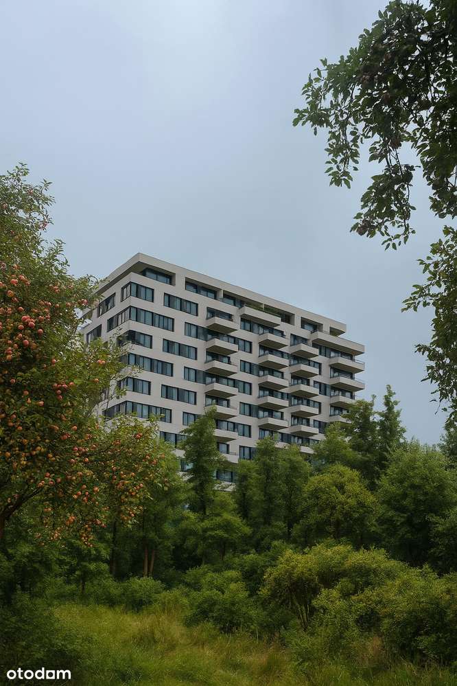 Lokal do własnej aranżacji | O układzie decydujesz Ty! | GRATIS - PLAN - Pełny obrazek: 4/10