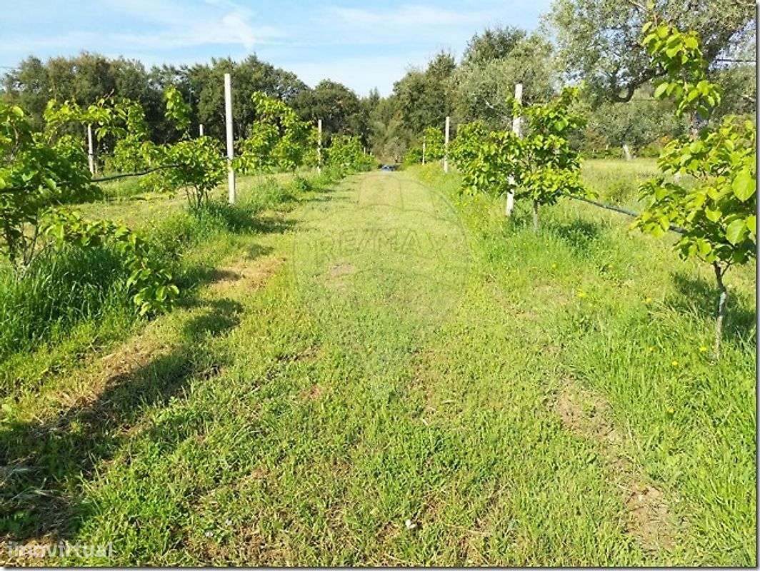 Quinta  para venda - Grande imagem: 4/38