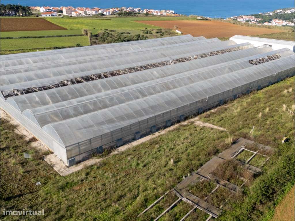 Terreno com 4,750 ha com vista sobre o mar em Ribamar na Ericeira - Grande imagem: 5/22
