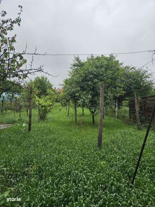 CASA 5 CAMERE ZONA GARII-7