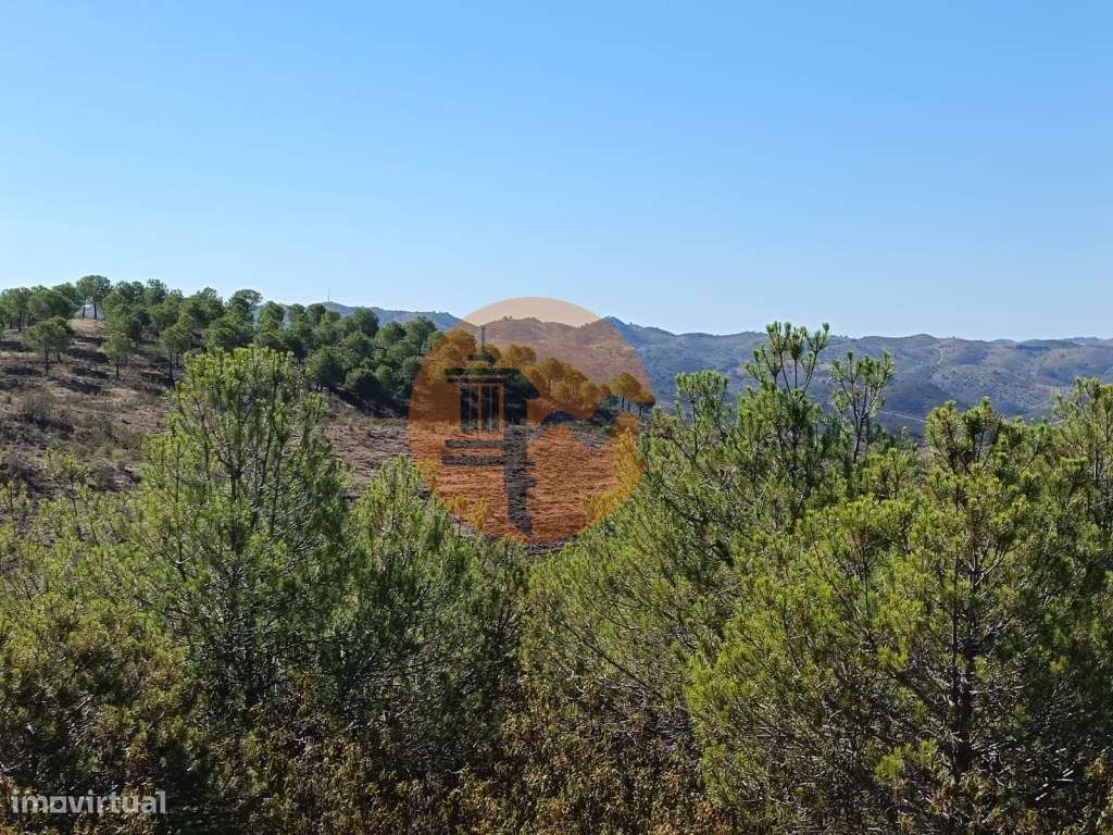 TERRENO COM 137.480 M2 - POSSIBILIDADE DE CONSTRUÇÃO RESIDENCIAL E ... - Grande imagem: 4/42
