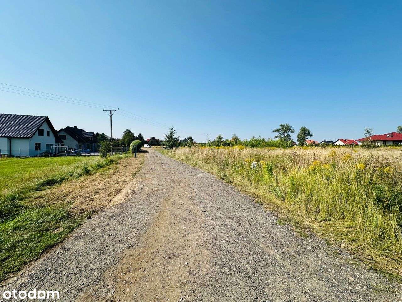 Działka budowlana Grzybiany 22 ary - MEDIA - Pełny obrazek: 4/4