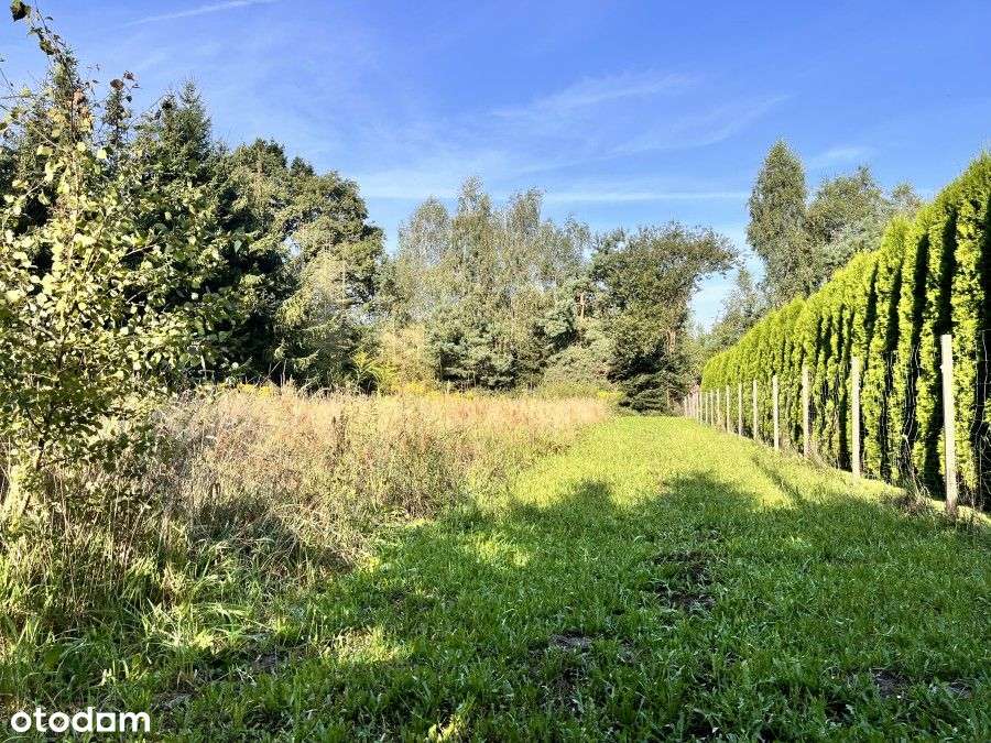 Działka W Pobliżu Lasu I Stacji Pkp - Pełny obrazek: 2/2