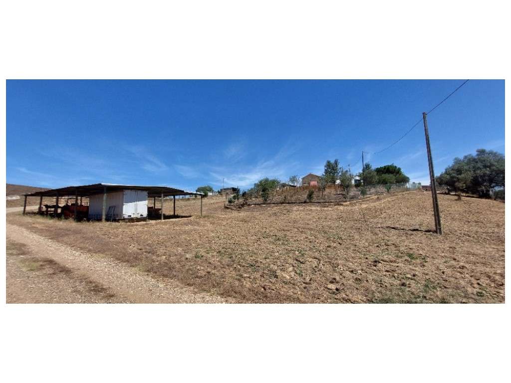 HERDADE 92 ha l Colos-38