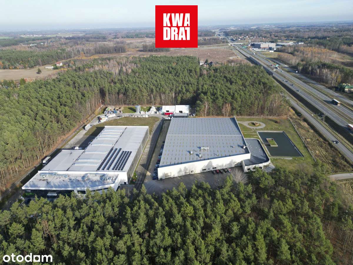 Investment Opportunity: Premium Industrial Complex-1