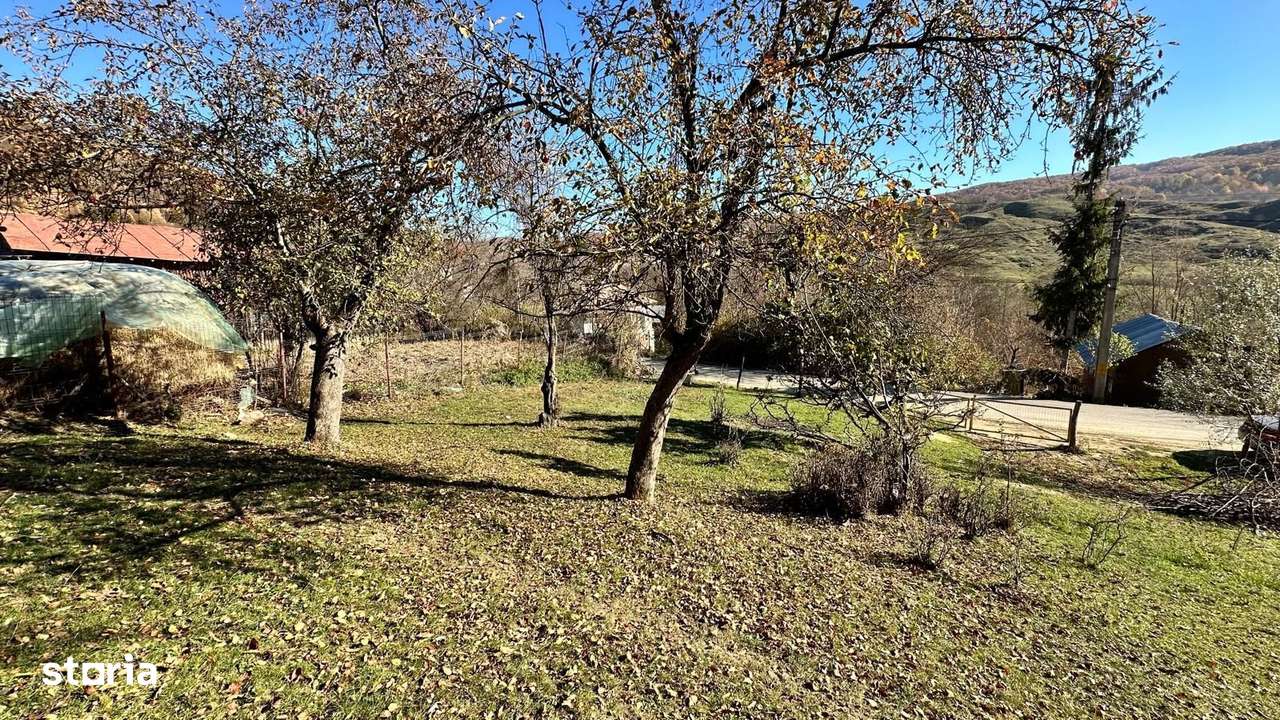 Teren 4044mp, 18 km de Campina, asfalt, utilitati, pretabil investitie - Imagine principală: 2/4