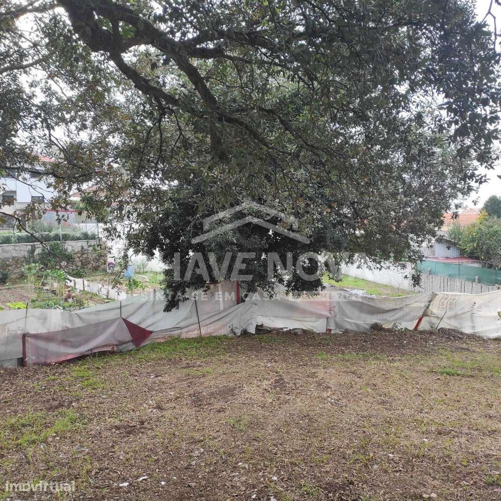 Lote c/Projeto Aprovado p/ 5 Moradias em Canelas - Grande imagem: 4/7