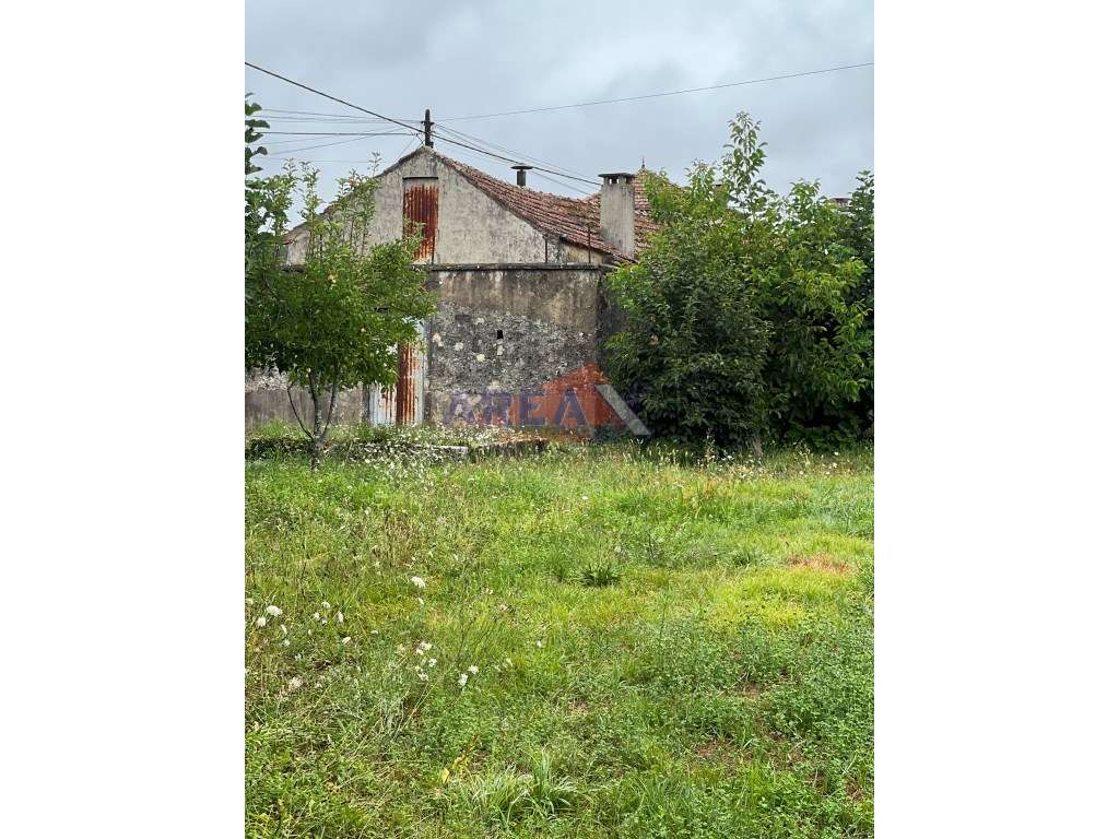 Oportunidade: 2 casas + artigo rústico com 2,0648 ha, perto de Oliv...-19