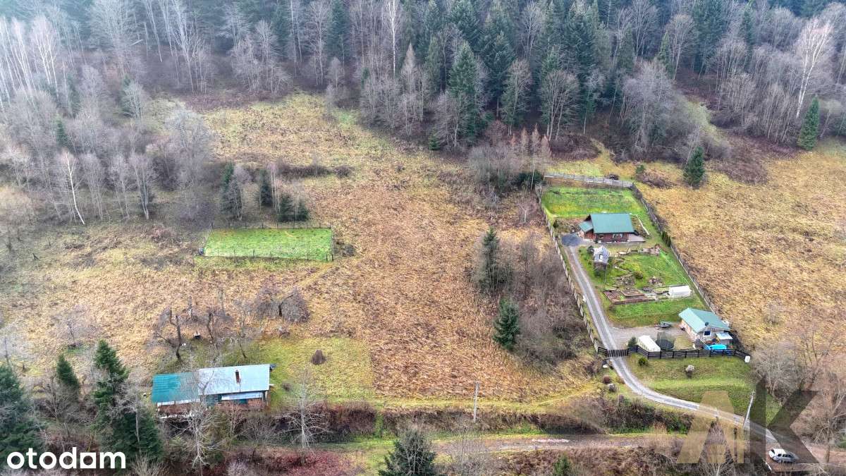 kn439879 - Pełny obrazek: 5/12