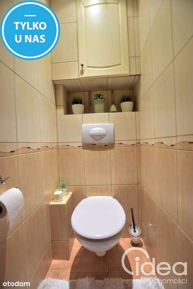 3 pokoje z widokiem na Puszczę-6