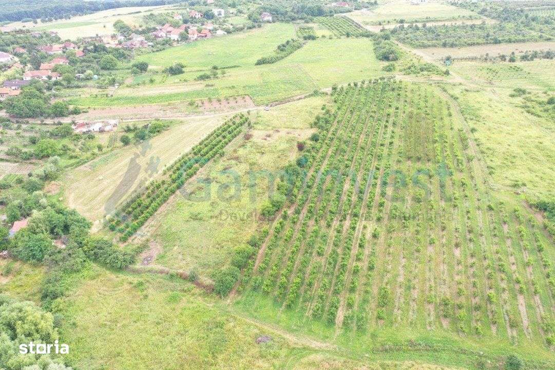 Gaminvest Teren intravilan de vanzare in Saldabagiu de Munte, V3183 - Imagine principală: 2/3