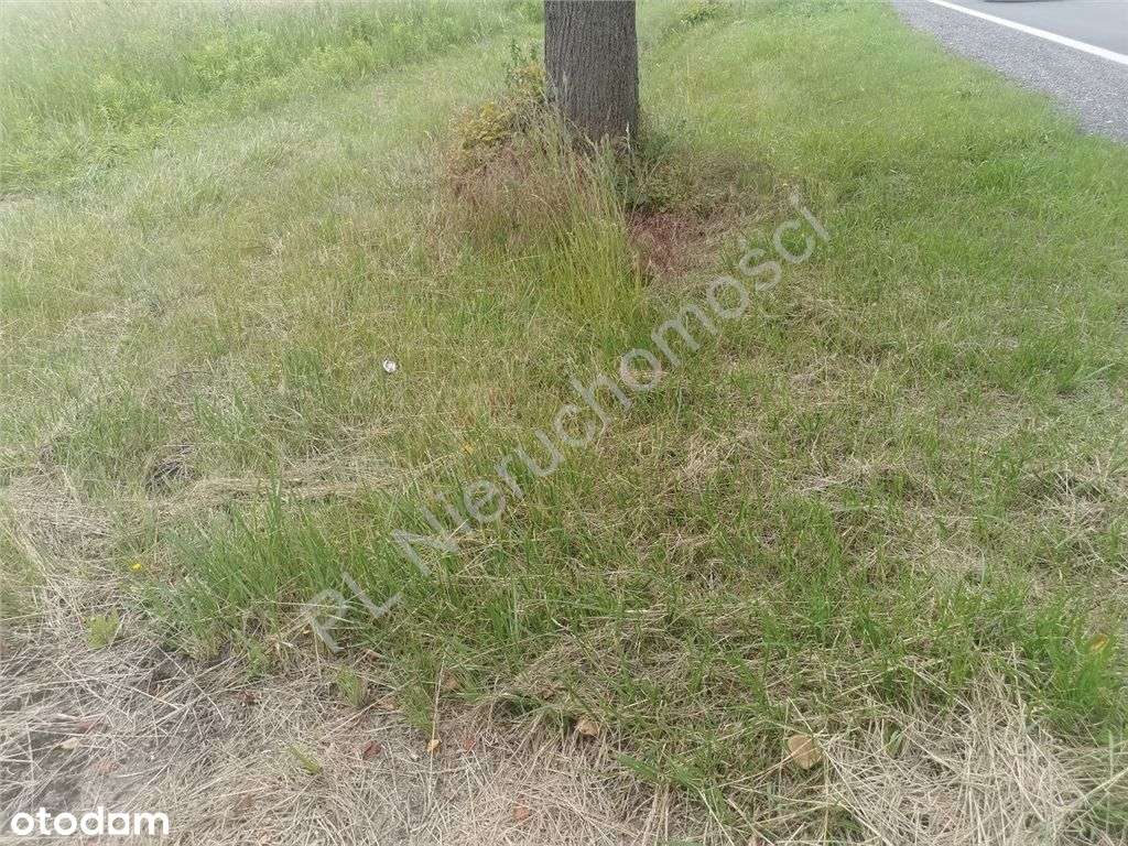 Działka inwestycyjna w doskonałej lokalizacji - Pełny obrazek: 4/14