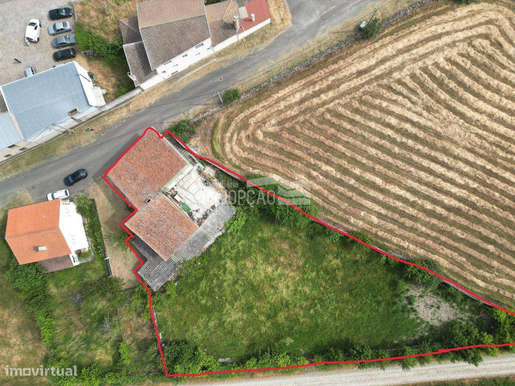 Moradia Duas Igrejas - Miranda do Douro - Grande imagem: 3/7