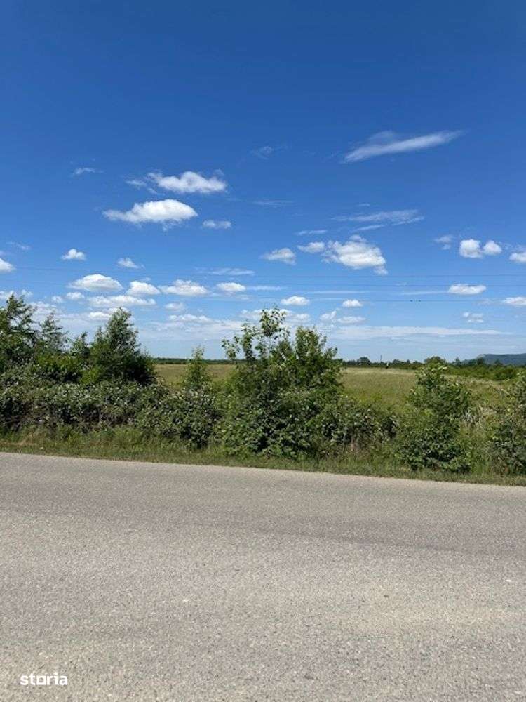 TEREN INDUSTRIAL 42.167 mp zona BUSAG pt constructii HALE! - Imagine principală: 5/10