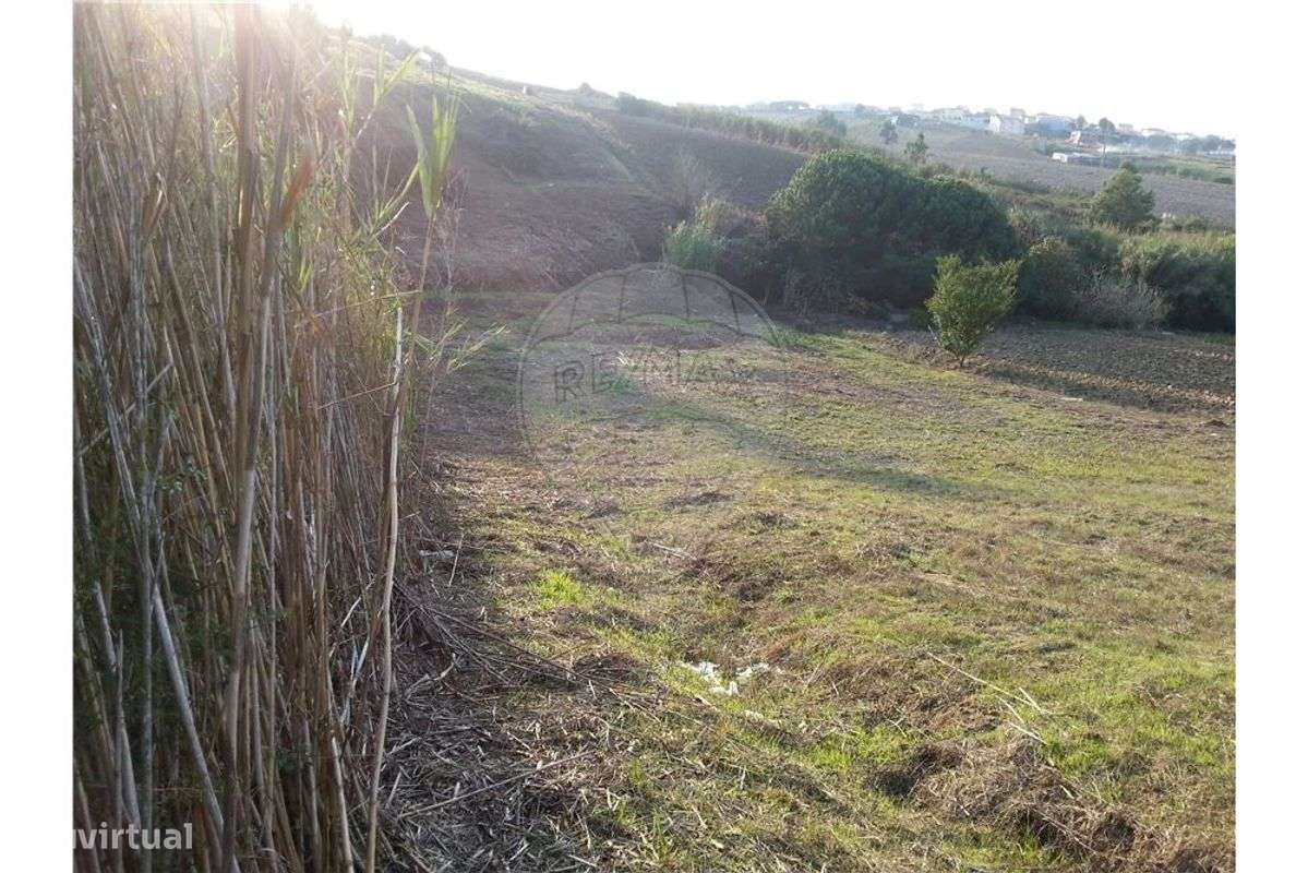 Terreno  para venda - Grande imagem: 3/4