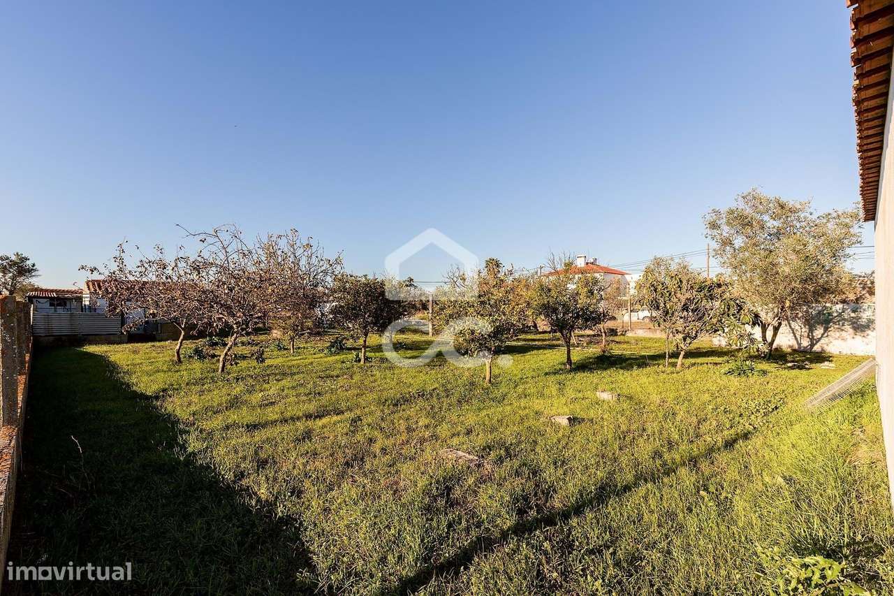 Terreno de  1.350 m² c/ Anexo de Apoio Agrícola | Canaviais, Évora-24