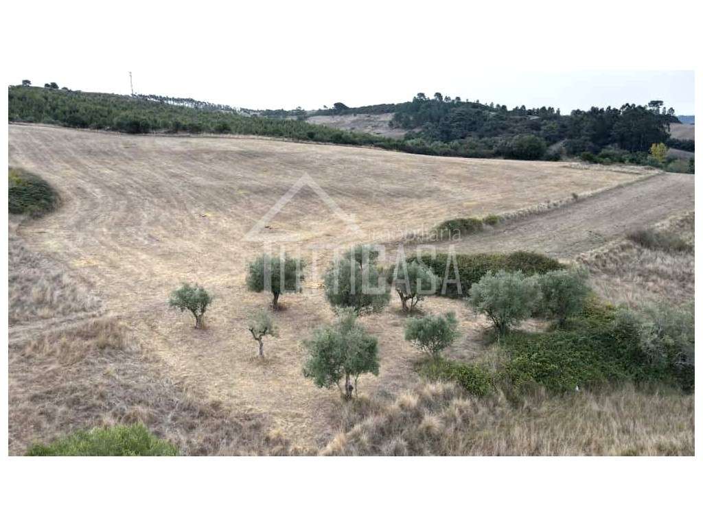 Terreno Rústico na Póvoa da Galega - Grande imagem: 3/10