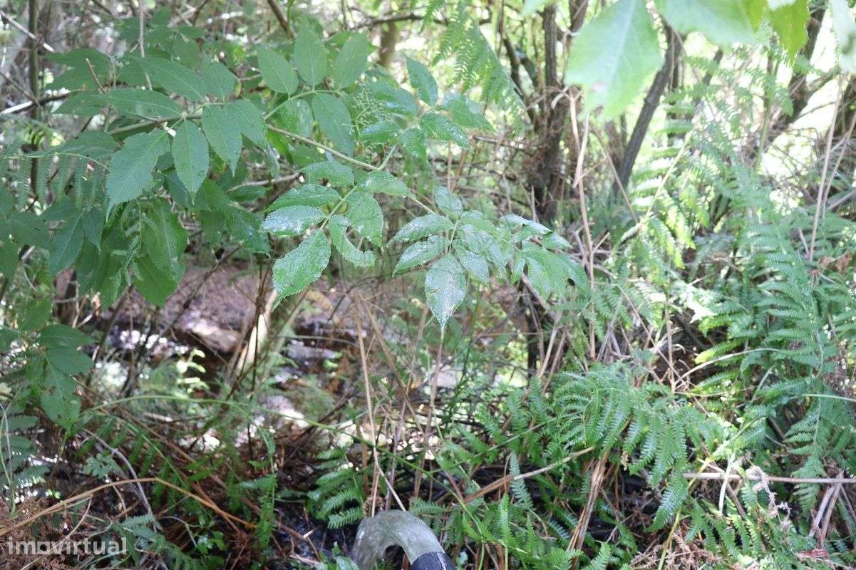 Terreno  para venda - Grande imagem: 5/11