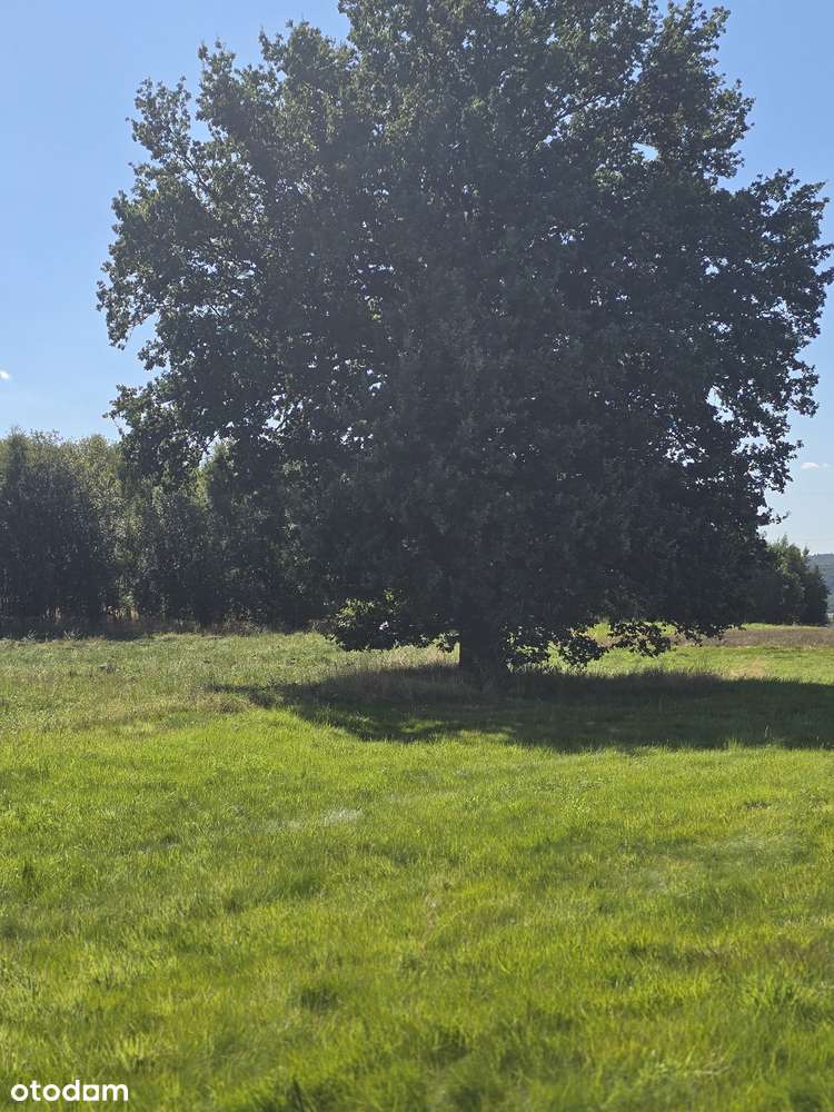 grunty rolne na sprzedaż, Bratków, Gmina Bogatynia-6