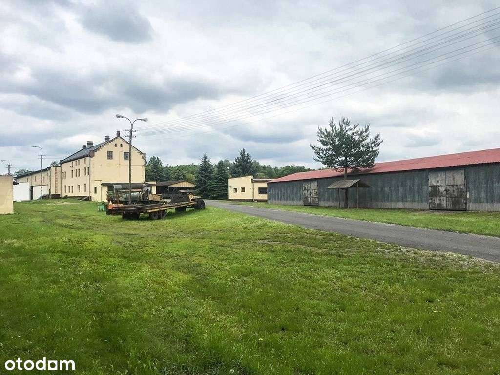 Gospodarstwo Rybackie na Dolnym Śląsku - Pełny obrazek: 4/9