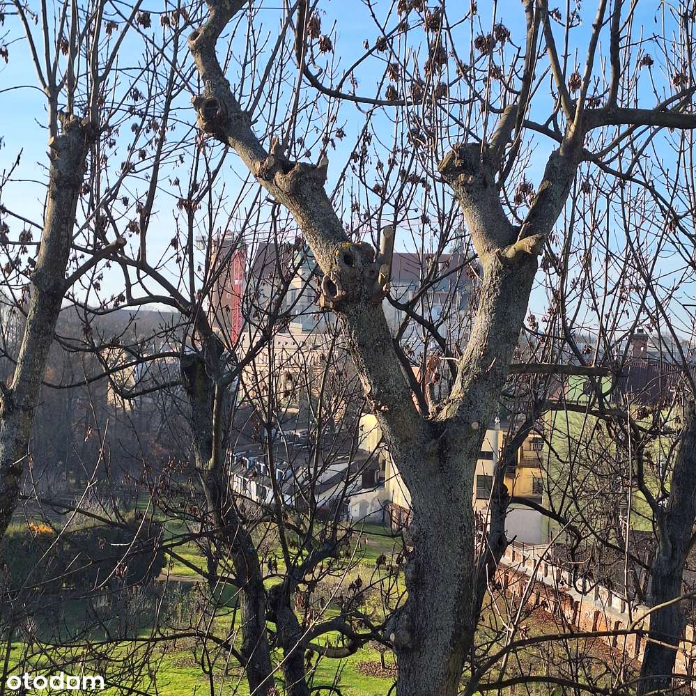 Stare Miasto mieszkanie 81m2 na sprzedaż-14