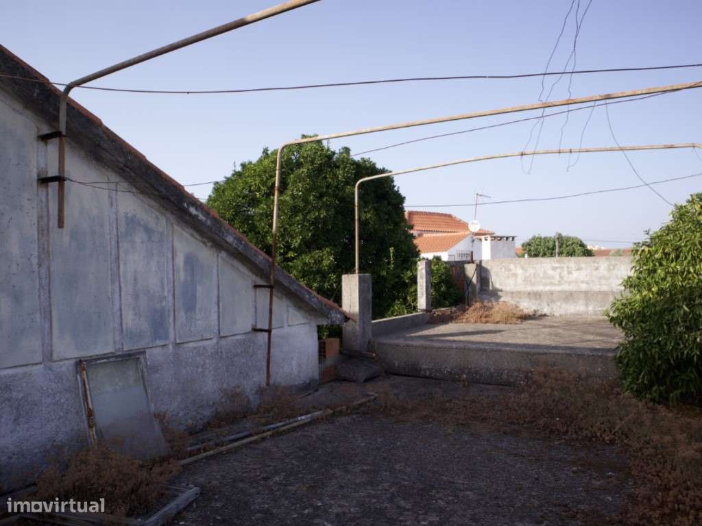 The Hidden Garden Project-11