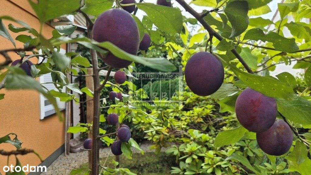 Uroczy dom na przedmieściach.-11