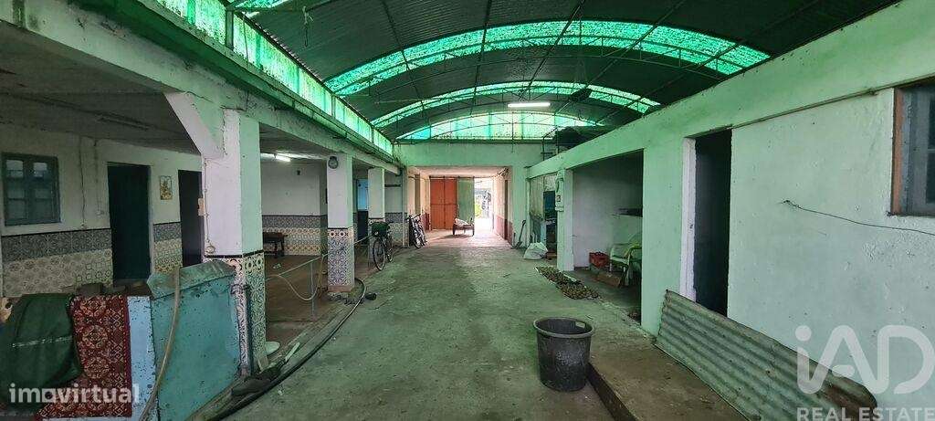 Casa T3 em Ponte de Vagos e Santa Catarina de 303,00 m2 - Grande imagem: 5/17