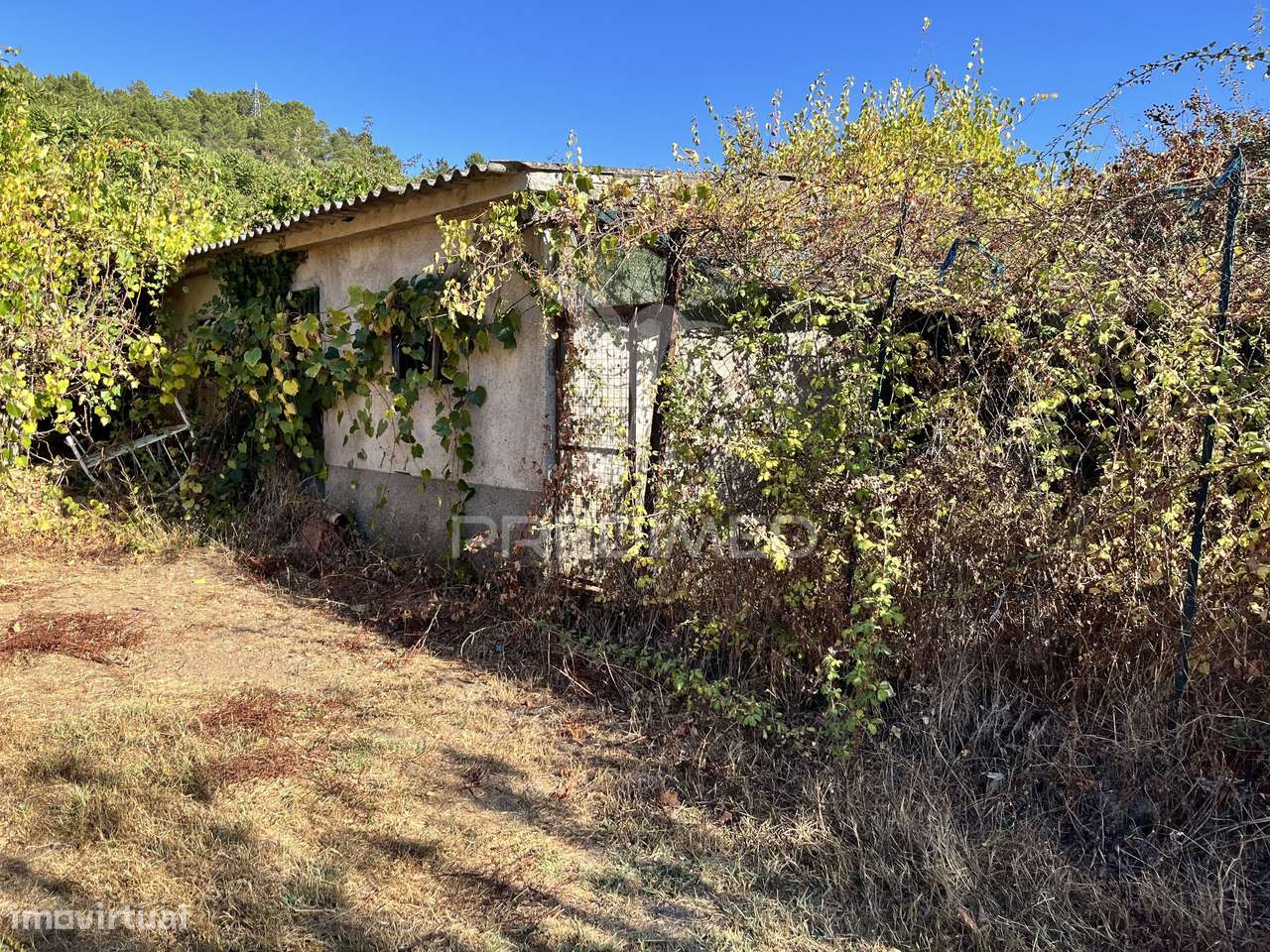 Fantástico terreno em Vidago – com projeto para Lar - Grande imagem: 4/8