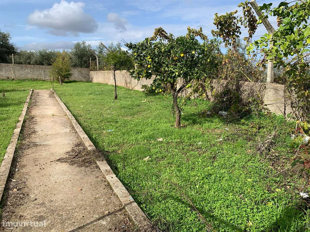 Terreno - Grande imagem: 2/6