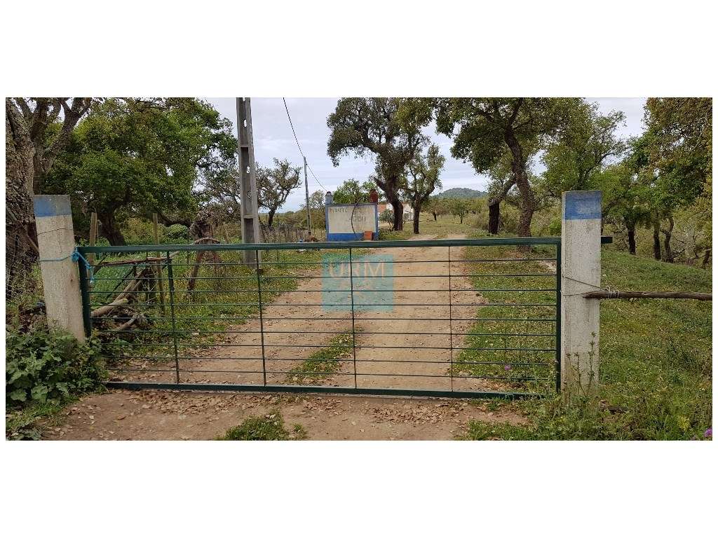 QUINTA (5 ha) a 20 minutos das Praias. - Grande imagem: 4/19